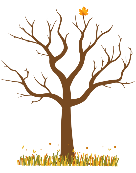 tree-for-donation-pg